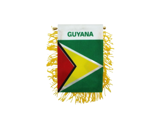 Guyana Mini Flag Banner